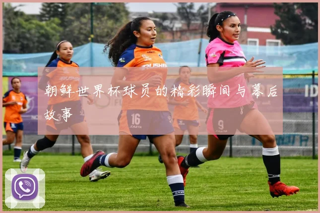 朝鲜世界杯球员的精彩瞬间与幕后故事