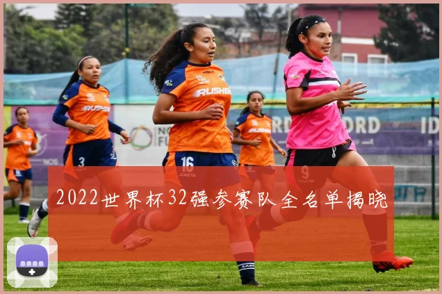 2022世界杯32强参赛队全名单揭晓